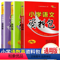 [68所最新版]小学(语数英)资料包3册 小学通用 [正版]2024新 名校小学语文资料包知识大集结通用版人教版1-6年