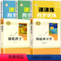 [同步训练+七年级课外必读]全5册 七年级下 [正版]2024新 七年级下册同步训练语文数学英语人教版七年级下册辅导资料