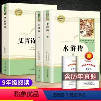 水浒传+艾青诗选 全3册 [正版]水浒传原著完整版初中版艾青诗选九年级人民教育出版社原著初中初三上册必读名著书目艾青诗集
