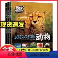 [大开本.全三册]动物+昆虫 +宇宙 [正版]小学生科普课外阅读书暴读百科全书好多好多的动物好怪好怪的昆虫好大好大的宇宙