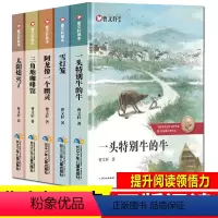 [正版]全套5册曹文轩画本儿童文学系列 书籍一头特别牛的牛 三角地咖啡馆太阳熄灭了故事书 三四五六年级小学生课外阅读书