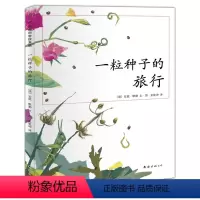 [正版]爱心树童书 一粒种子的旅行绘本图书 3-6岁儿童书籍 幼儿园绘本读物 荣获德国儿童图书Luchs大奖