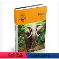 [正版] 象母怨/动物小说大王沈石溪品藏书系(升级版)中小学生课外阅读书籍三四五六年级课外阅读读物 9-12-15岁儿
