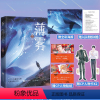 [正版]赠海报+贴纸+测试券+CP卡薄雾 微风几许著花火双男主兄弟情穿梭时空无限流文小说魅丽店