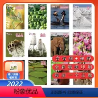 [故事卡+游戏书3册]小聪仔2024年科普版+启蒙版+幼儿版 [正版]赠帆布袋2022年小聪仔科普版 2024年1-2月