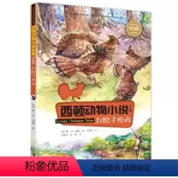 西顿动物小说全集红脖子松鸡 [正版]接力出版社西顿动物小说 彩绘版 红脖子松鸡 小学生二三四五六年级课外书阅读 儿童文学