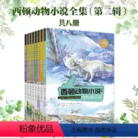 [正版]西顿动物小说全集 彩绘版 第二辑全8册 小学生课外书阅读学校老师 儿童文学读物动物科普百科认知书籍