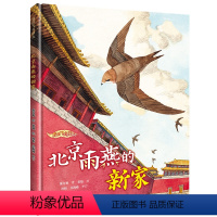 单本全册 [正版]2022年度好书北京雨燕的新家 我的飞鸟朋友保冬妮3-8岁儿童绘本图画故事书亲子共读启蒙早教生命自然教