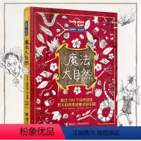 魔法大自然 [正版]魔法大自然 孤独星球童书系列益智游戏动手自然游戏绘本亲子共读早教启蒙锻炼创造力想象力培养亲近自然书籍