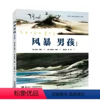 风暴男孩 [正版]接力出版社风暴男孩 英潘版 澳 科林 蒂勒 外国儿童文学书籍