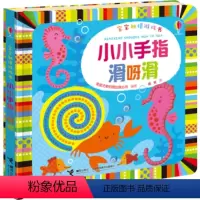 [正版]接力出版社宝宝触摸游戏书·小小手指滑呀滑 尤斯伯恩出品 0-3岁 0-3岁 触摸绘本 聪明宝宝学前班绘本 认