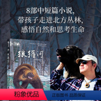 [正版]接力出版社黑鹤动物文学精品系列;狼獾河(新版)物文学作家格日勒其木格黑鹤代表作品 插画家九儿绘制封面美图 曹