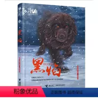 单本全册 [正版]山东暑假打卡2022朝阳读书五年级课外阅读黑焰 黑鹤动物文学精品系列 插图版格日勒其木格长篇小说儿童文