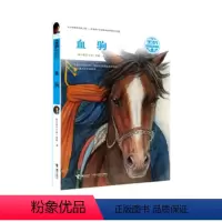 [正版]接力出版社黑鹤动物文学精品系列 血驹 陈伯吹国际儿童文学奖作品 儿童文学书籍 小学生课外阅读书