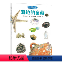 海边的宝藏 [正版]接力出版社海边的宝藏 (日)浜口哲一 书籍 大科学之友科普绘本