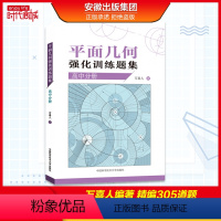 高中分册 数学 [正版]平面几何强化训练题集高中分册万喜人305道新编高联二试难度题强化训练高中一二三年级数学高考辅导参