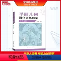 高中分册 数学 [正版]平面几何强化训练题集高中分册万喜人305道新编高联二试难度题强化训练高中一二三年级数学高考辅导参