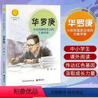 [正版] 华罗庚 小杂货铺里走出的大数学家 中华先锋人物故事汇英雄人物故事名人传记 9-15岁中小学生课外阅读书籍故事