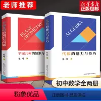 [正版]中科大初中数学代数的魅力与技巧+平面几何的知识与问题 单墫 初一初二初三初中数学解题规律方法与技巧789年级2