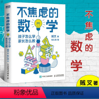 [正版]不焦虑的数学 孩子怎么学 家长怎么教 数学大V贼叉写给中小学生家长的数学辅导书 小学初中阶段数学学习法 数学解