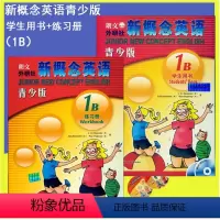 [正版]新概念英语青少版1B学生用书+新概念英语青少版1b练习册 含DVD+MP3光盘 点读版 小学英语零基础入门 外