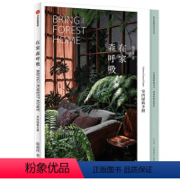 [正版]在家森呼吸 室内绿植手册 茹茹萍 从家居风格搭配 日常养护到植物手作教程 打造森林系小家 养花书籍 风格花器