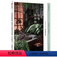 [正版]在家森呼吸 室内绿植手册 茹茹萍 从家居风格搭配 日常养护到植物手作教程 打造森林系小家 养花书籍 风格花器