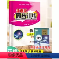同步训练+中考总复习2022版 九年级/初中三年级 [正版]2024新课堂同步训练物理九年级上册课堂辅导人教版专项训练9