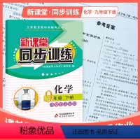 化学 九年级/初中三年级 [正版]2024新课堂同步训练化学九年级下册课堂辅导人教版专项训练九年级