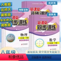 八年级下册全套 八年级/初中二年级 [正版]2024新课堂同步训练语文数学英语政治地理生物理八年级下册课堂辅