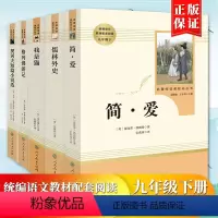 套装五本 [正版]原著无删减初三9年级阅读课外书简爱儒林外史契诃夫短篇小说集我是猫格列佛游记共5本九年级下册人民教育出版