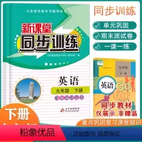 [正版]初中英语新课堂同步训练九年级下册同步训练PEP同步课堂辅导人教版专项训