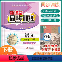 [正版]2024版新课堂同步训练语文八年级下册同步练习册人教版初二8年级