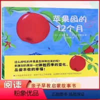 单本全册 [正版]精装 苹果园的12个月 3-5-7-12岁儿童绘本日本图书馆协会 亲子早教共读启蒙故事书 睡前亲子晚安