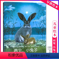 再见,小 [正版] 再见,小 儿童启蒙阅读绘本 亲子早教共读启蒙故事书 睡前亲子晚安精装绘本 5岁以上少儿启蒙读