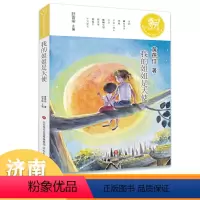 我的姐姐是天使 [正版] 我的姐姐是天使 作者黄蓓佳 小学五六年级阅读课外读物 麒麟中国新文学少年读本儿童经典阅读 济南
