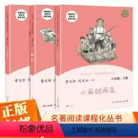 快乐读书吧六年级上册 [正版]快乐读书吧六年级上册阅读课外书全套 曹文轩 陈先云主编 小英雄雨来 童年爱的教育人教版完整