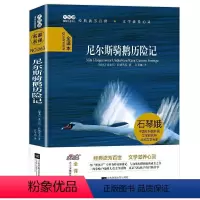 尼尔斯骑鹅历险记 [正版]大悦读尼尔斯骑鹅历险记 记塞尔玛·拉格洛芙著 北欧文学专家石琴娥译 精装 四-六年级小学青少