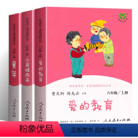 人教版六年级上册快乐读书吧全3册 [正版]人民教育 六年级必读课外书全套3册童年高尔基曹文轩陈先云主编爱的教育六年级上册