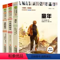 六年级上册必读课外 [正版]爱的教育小英雄雨来童年书高尔基六年级上册必读课外书原著快乐读书吧小学生三四五老师阅读儿童文学