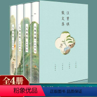 [正版]全套4册汪曾祺全集4册 人间草木+人间有味+人间邂逅+人生有趣 作品集名家精选散文集现当代随笔经典文学小说生活