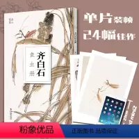 [正版]齐白石鱼虫册(大8开单片高清印刷) 可临摹可装饰 历代名家册页鉴赏临摹画册 初学者绘画中国画鱼虫画技法教程作品