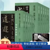 名家教你写视频精讲版全9册 [正版]名家教你写视频精讲版 集王羲之书圣教序颜真卿勤礼碑多宝塔碑曹全碑张迁碑柳公权玄秘塔碑