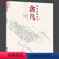 [正版]禽鸟 白描技法精解 中国工笔画白描画册临摹范本古风白描勾线底稿图大全画谱画集 美术绘画初自学者零基础入门基础技