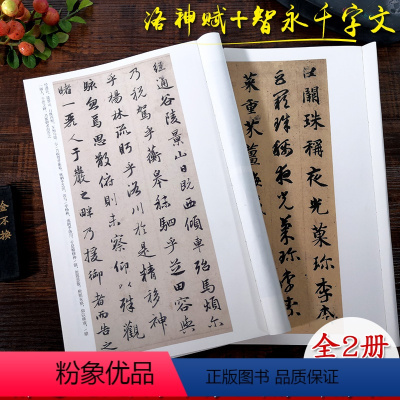 [正版]美院书法学生入门 赵孟頫洛神赋+智永真草千字文法帖 高清原碑帖全貌+精选放大本 赵体行书智永楷草书作品集 中国