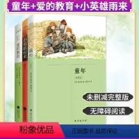 小英雄雨来+爱的教育+童年(套装3册) [正版]丨小英雄雨来+爱的教育+童年(全3册)六年级上册快乐读书吧阅读全套完整版