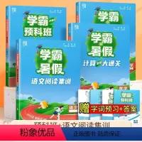 24版[全4本]阅读+课堂笔记+计算(人教)+思维题 一升二 [正版]2024学霸的暑假衔接一升二升三升四升五升六年级上