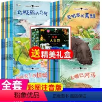 全套共4辑32册[赠礼盒] [正版]有声伴读儿童绘本3一6岁奇趣大自然科普绘本第一二三四辑全套32册赠礼盒包装 幼儿早教