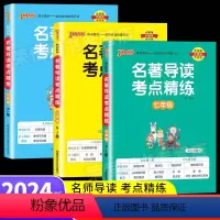 [7-9年级全套3册]名著导读考点精练 初中通用 [正版]2024名著导读考点精练初中经典常谈七八九年级必读名著导读与考