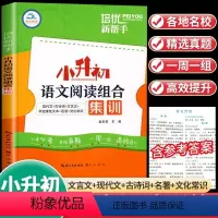 [全国通用]语文阅读组合集训 小学升初中 [正版]小升初阅读理解专项训练语文阅读组合集训人教版六年级下册阅读强化训练书小
